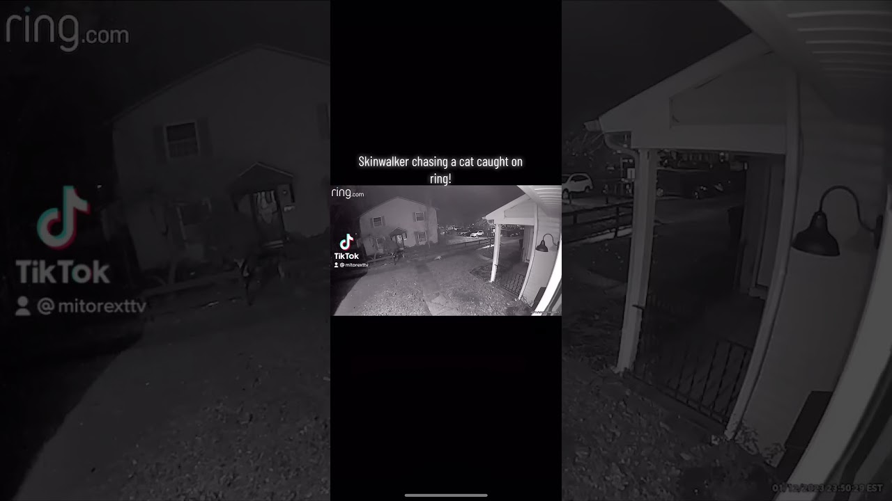 Skinwalker chases cat! #shorts