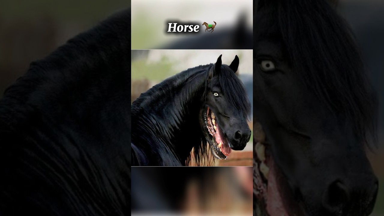 Skinwalker disguised as animals 😨 #scary #animals