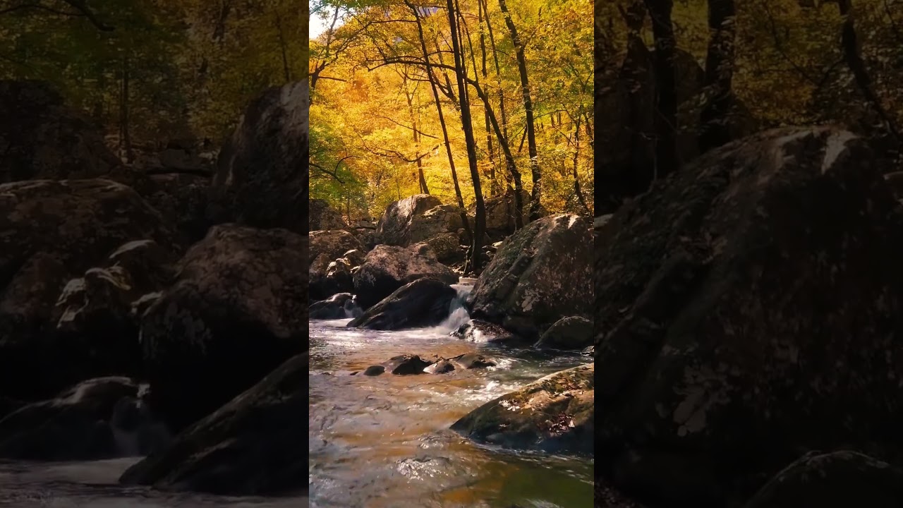 Sleep Expert Shares Top River Sounds for Relaxation