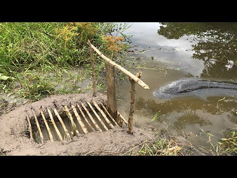 Smart Boy Make A Simple Fish Trap To Catch Big Fish-Cambodia Traditional Fish Trap