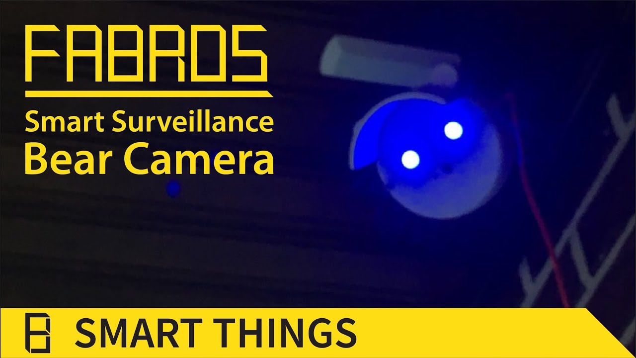 Smart Surveillance Bear Camera