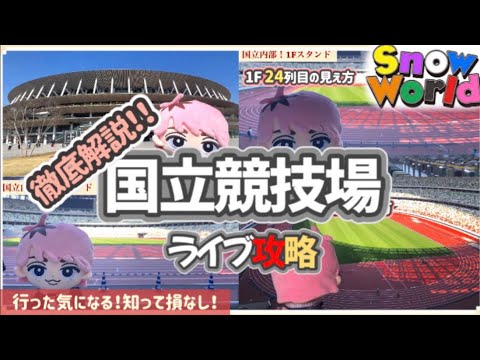 【SnowWorld】新国立競技場ライブ楽しむ人必見‼️ これを見れば完璧👏徹底解説📕 SnowMan | Ado