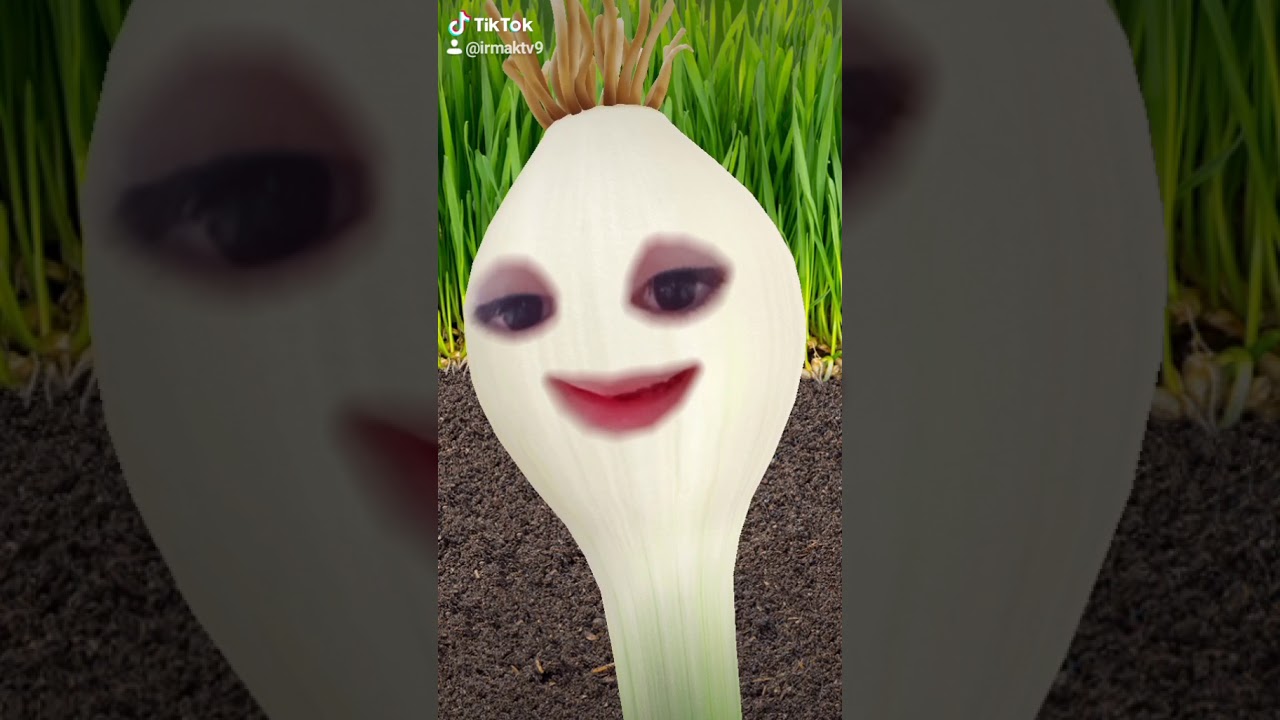 soğan Hatice şarkısı :)