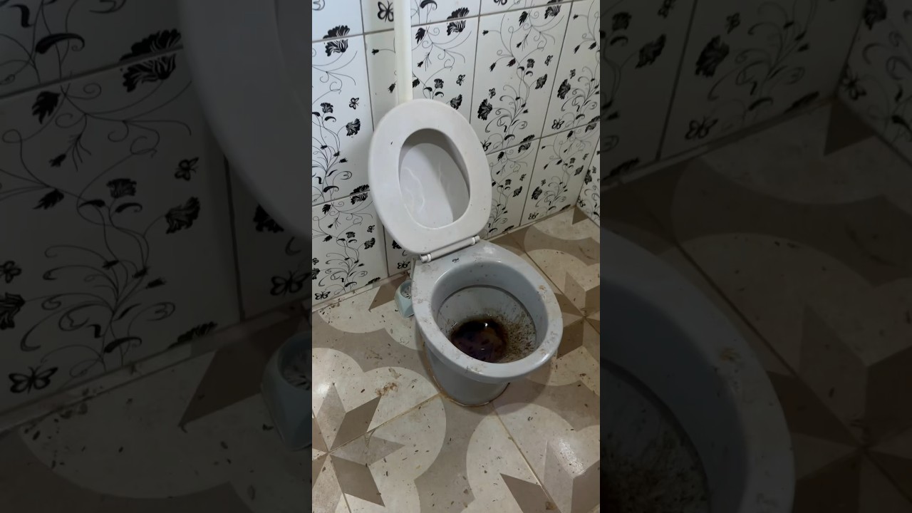 SOCORROO🤢  #limpeza #faxina #sujeira #banheiro #casaabandonada #mae