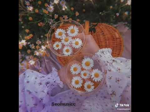 Sohret memmedov -Allahim