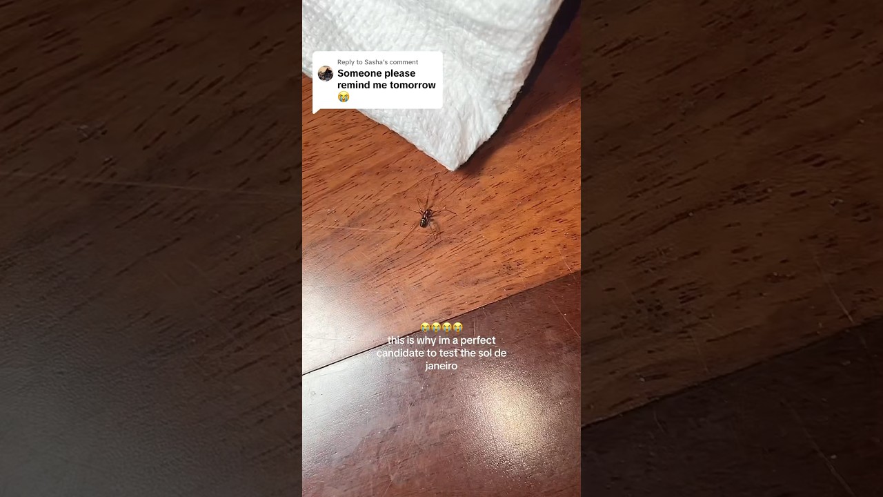SOL DE JANEIRO SPIDER UPDATE? 🕷️😳😭#soldejaneiro #tiktokviral