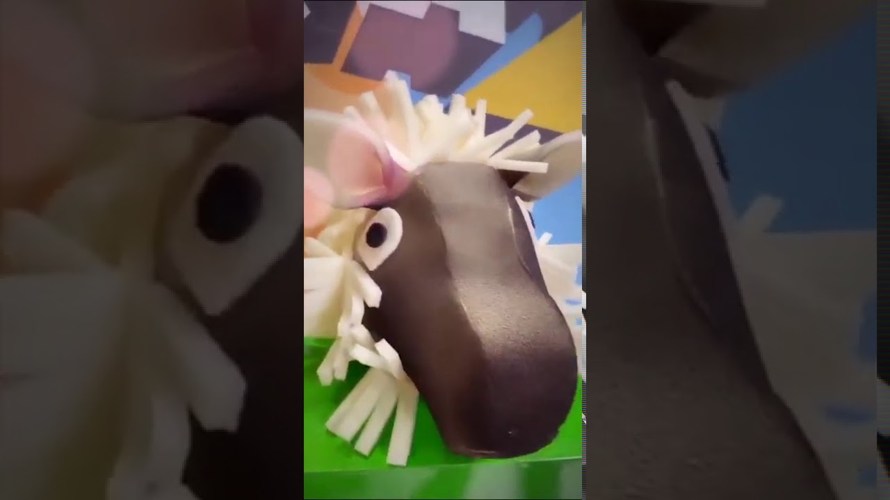 Sole Cardozo Instagram Live