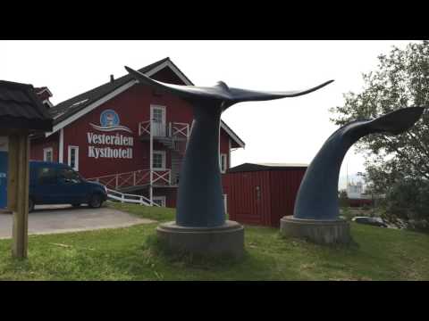 SommerNorge rundt fra Vesterålen, del 1