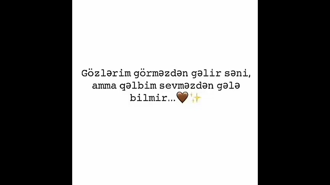 sondus app 🌹🌛