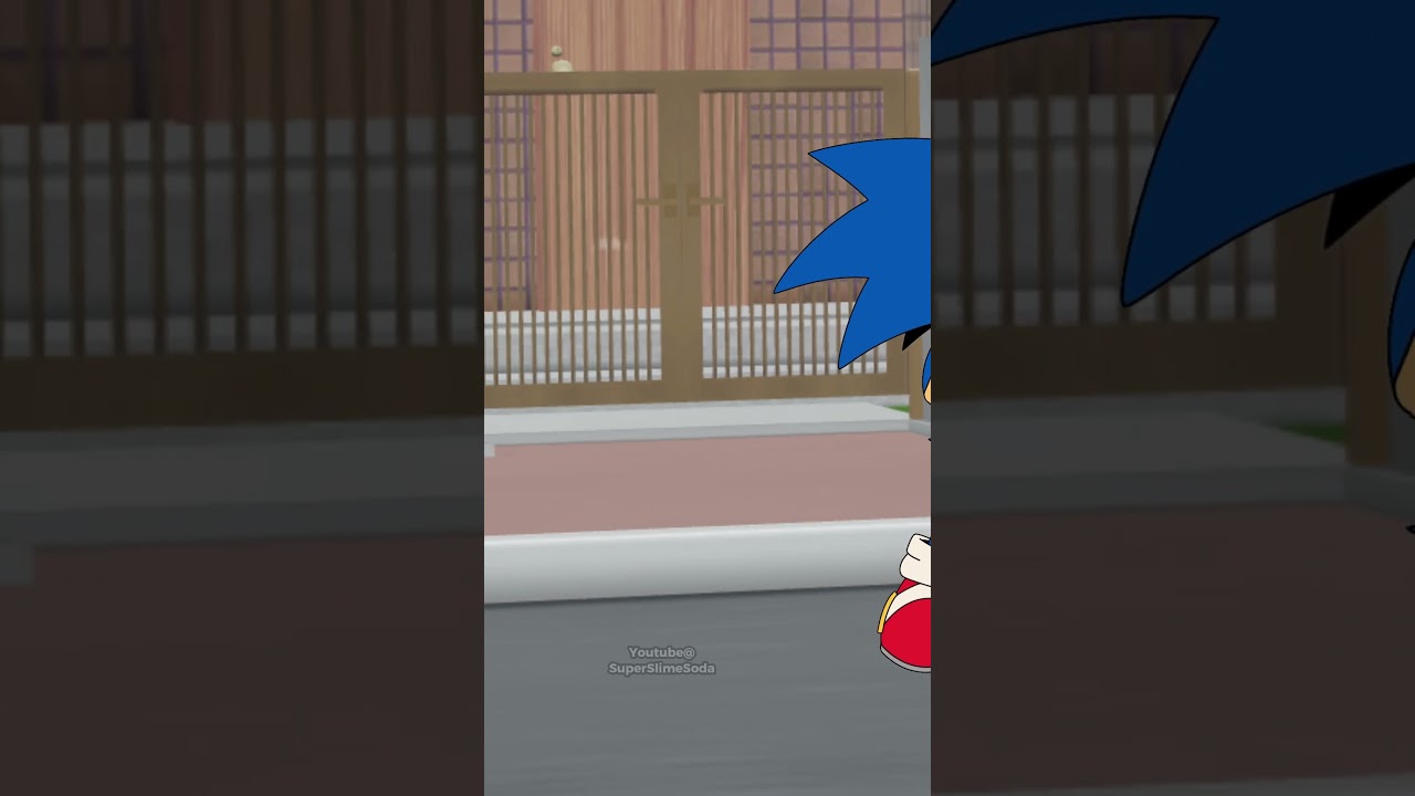 Sonic vs Amy & Rouge #sonic #sonicthehedgehog