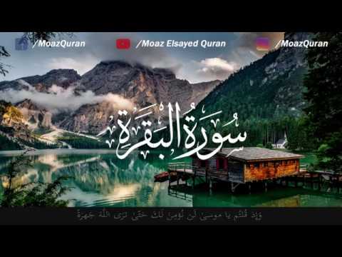 Soothing Recitation of Surah Al-Baqarah | Qari' Moaz Elsayed | القارئ معاذ السيد (Surah 02)