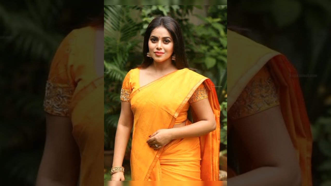 South Actress Super Look in Saree