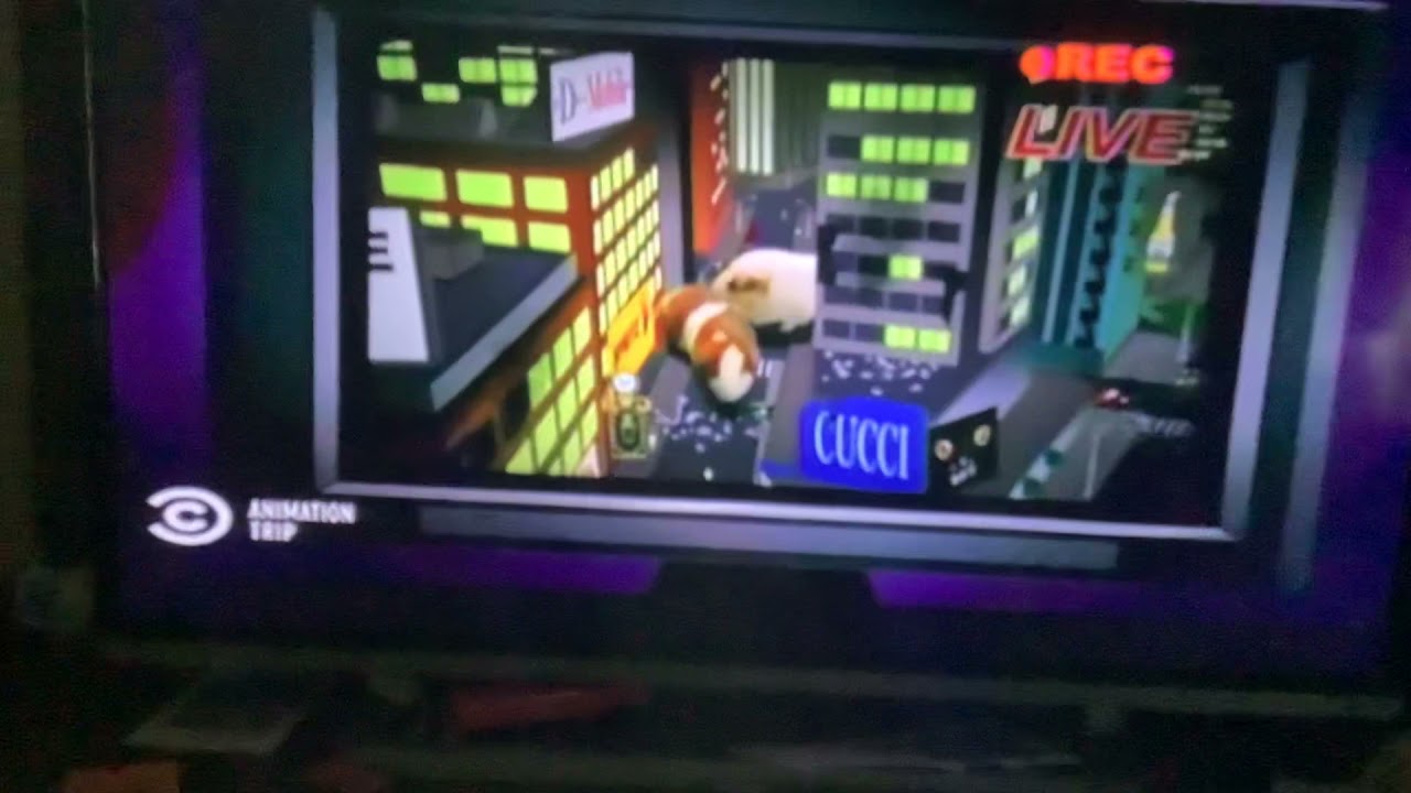 South Park pandemic startling Jumpscare Guinean pigs