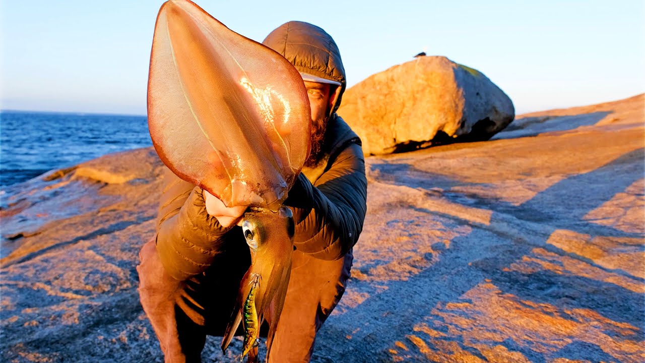Southern Calamari Catch and Cook