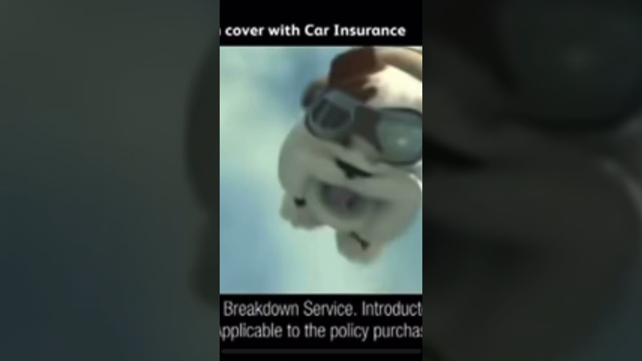 Special Agent Oso