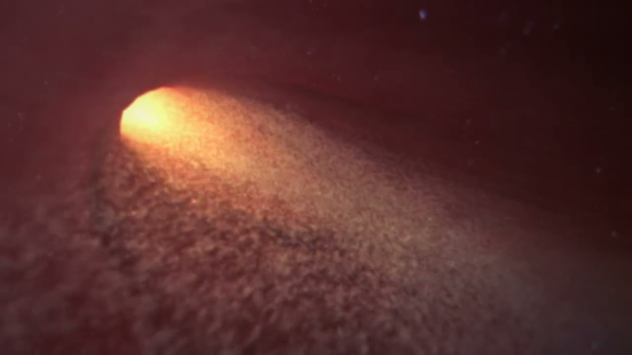 Sperm Death in the Uterus
