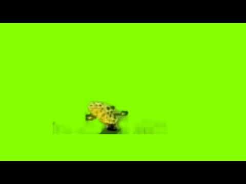 SpongeBob green screen
