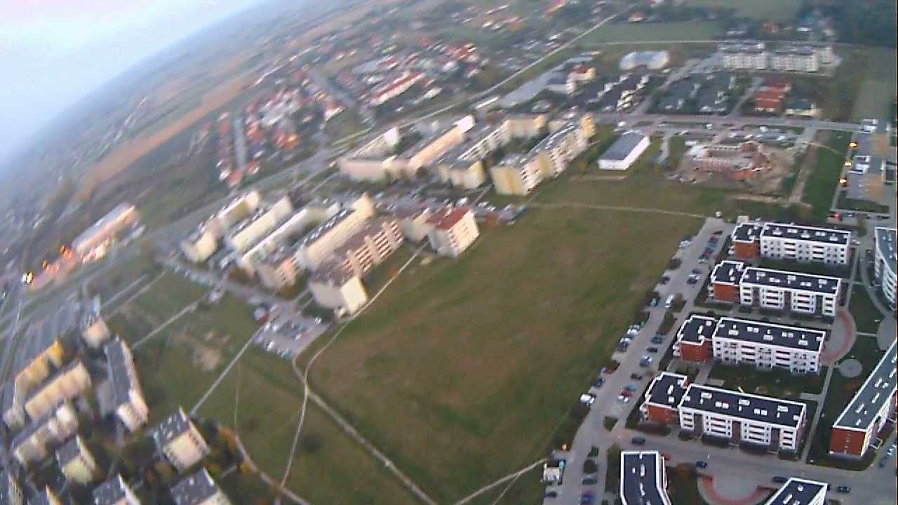 SPY HAwK POLAND MODRZEWIOWA