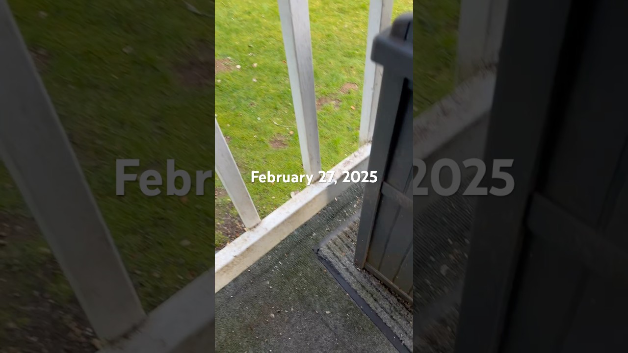 Squirrel bud highlights 2-27-25