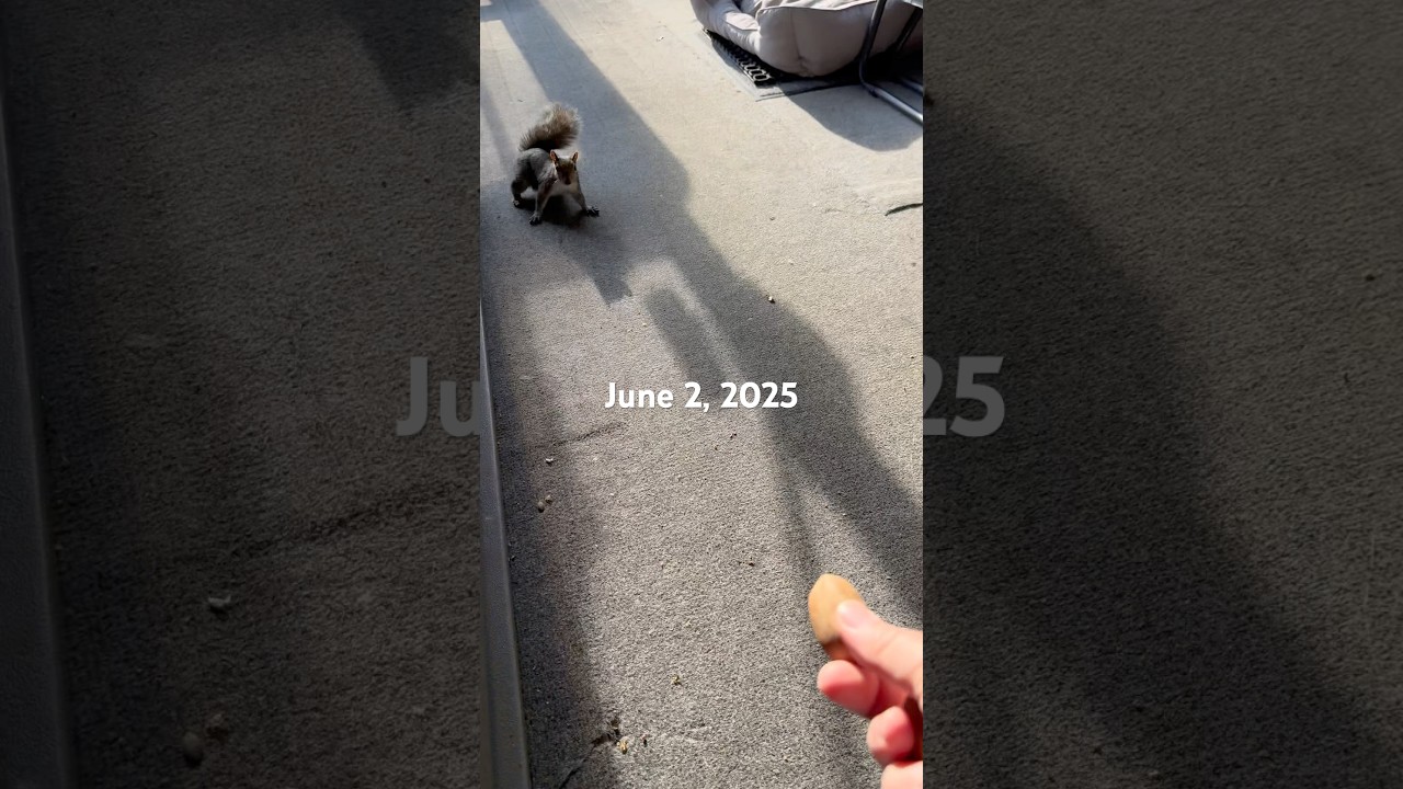 Squirrel bud highlights 6-2-25