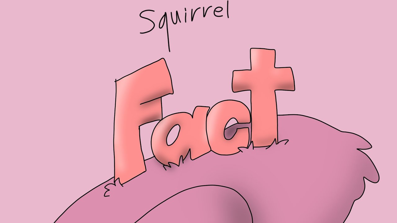 Squirrel facts, by Ashley