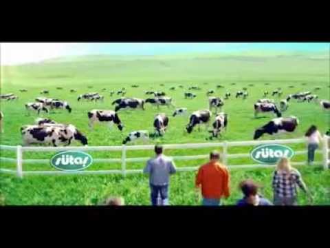 Sütaş Reklamı - Yoğurt Sever