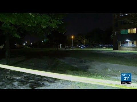 Stabbing in North York neighbourhood