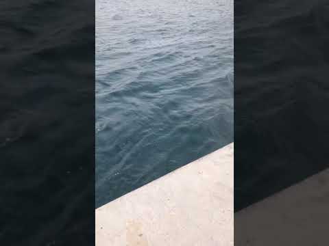 İSTANBUL BOĞAZ HİKAYELİK SNAP