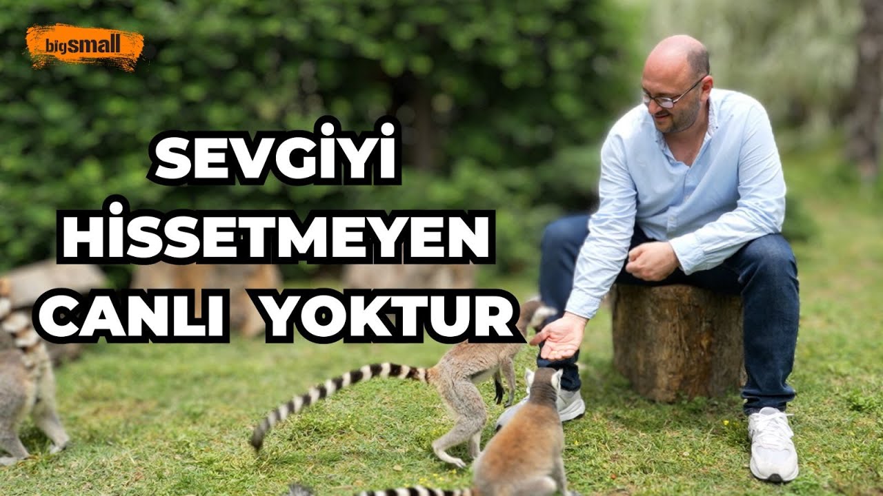 İstanbul'un dibindeki egzotik hayat | Artık onlara dokunmak mümkün | Dev park FYZoo'da bir gün