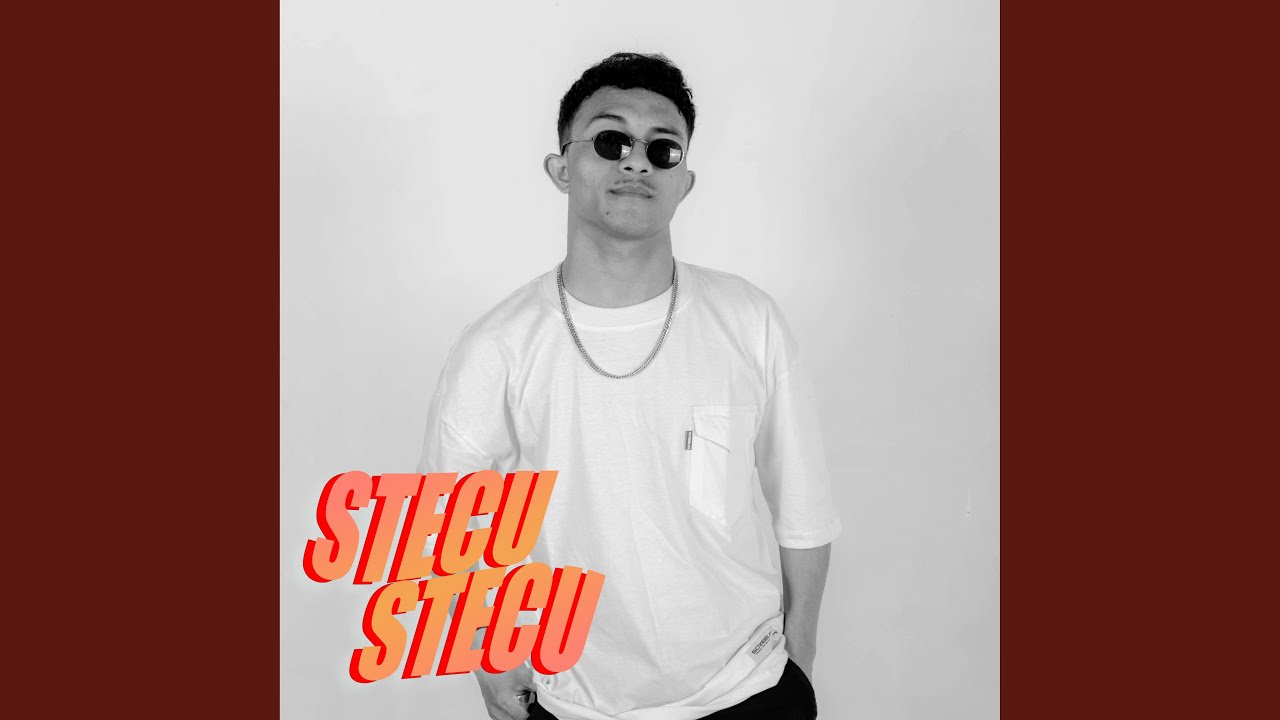 Stecu Stecu