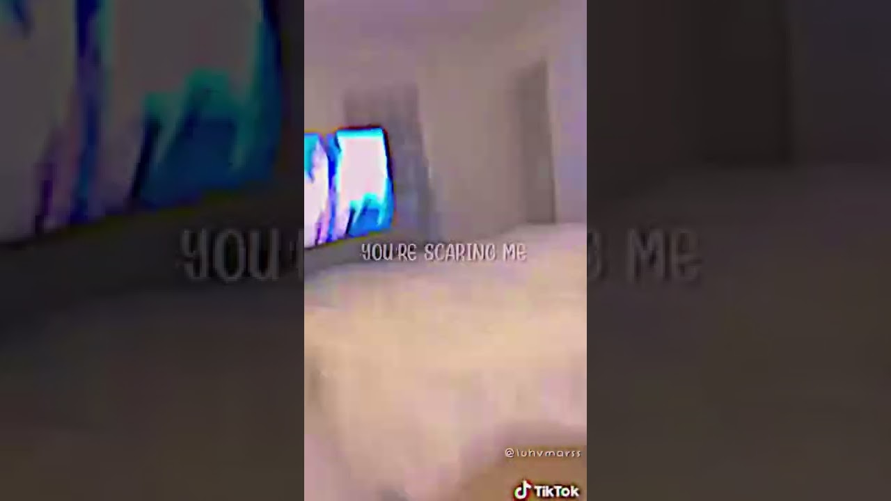 stop you’re scaring me cat edit 🤭🐈