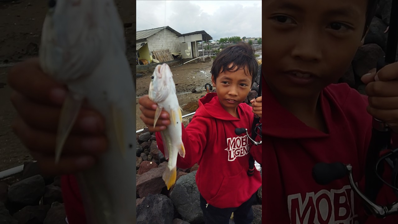 Strike ikan samge#strike #fishing #eretan #indramayu #liburan