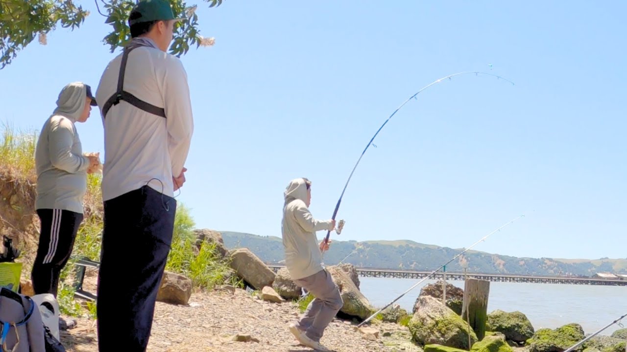 STRIPER Fishing San Francisco Bay Area Northern CA