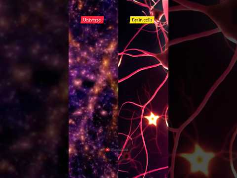 Structure of Universe Vs the Brain cells #shorts #space #universe #galaxy