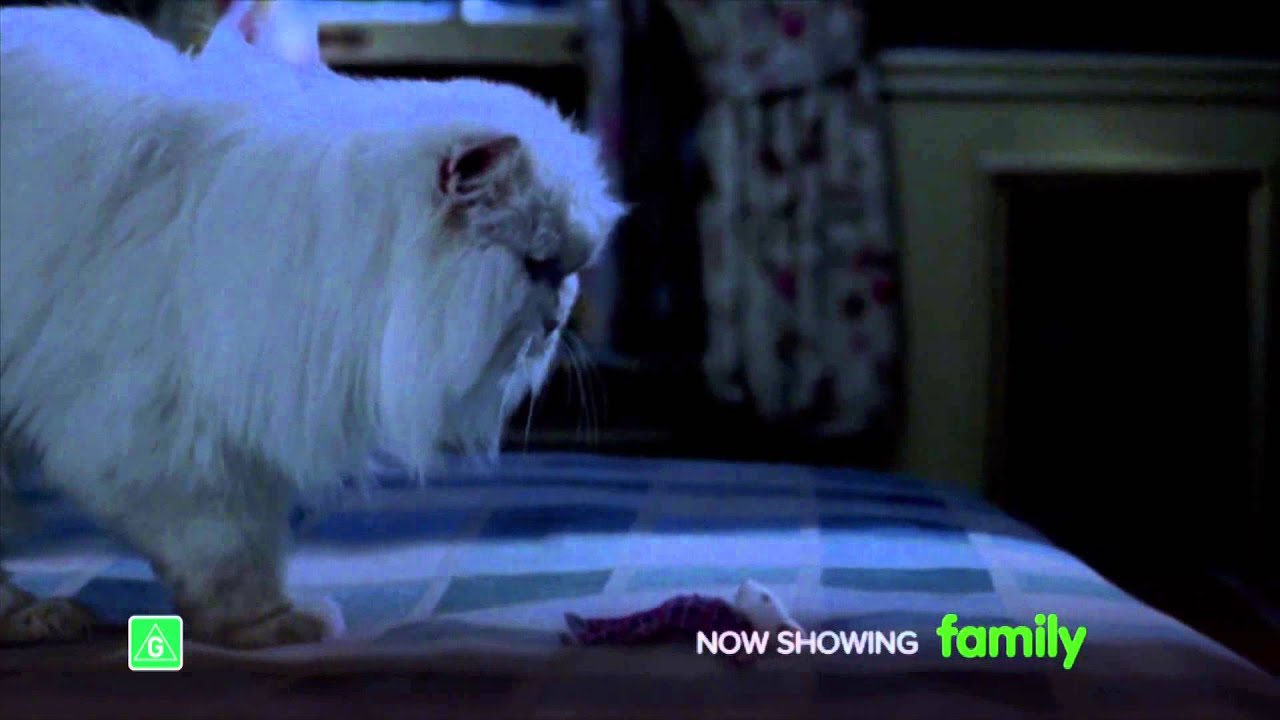 Stuart Little on Foxtel Movies Family