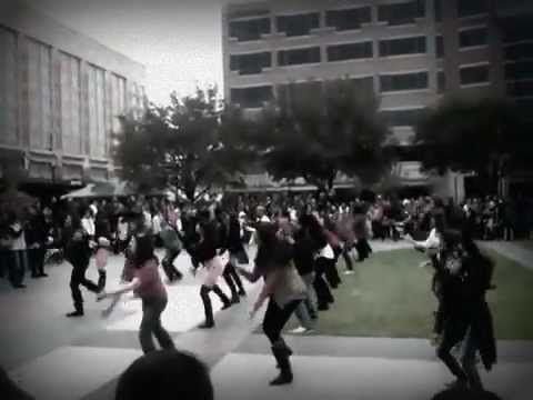 Sugarland Desi flash mob