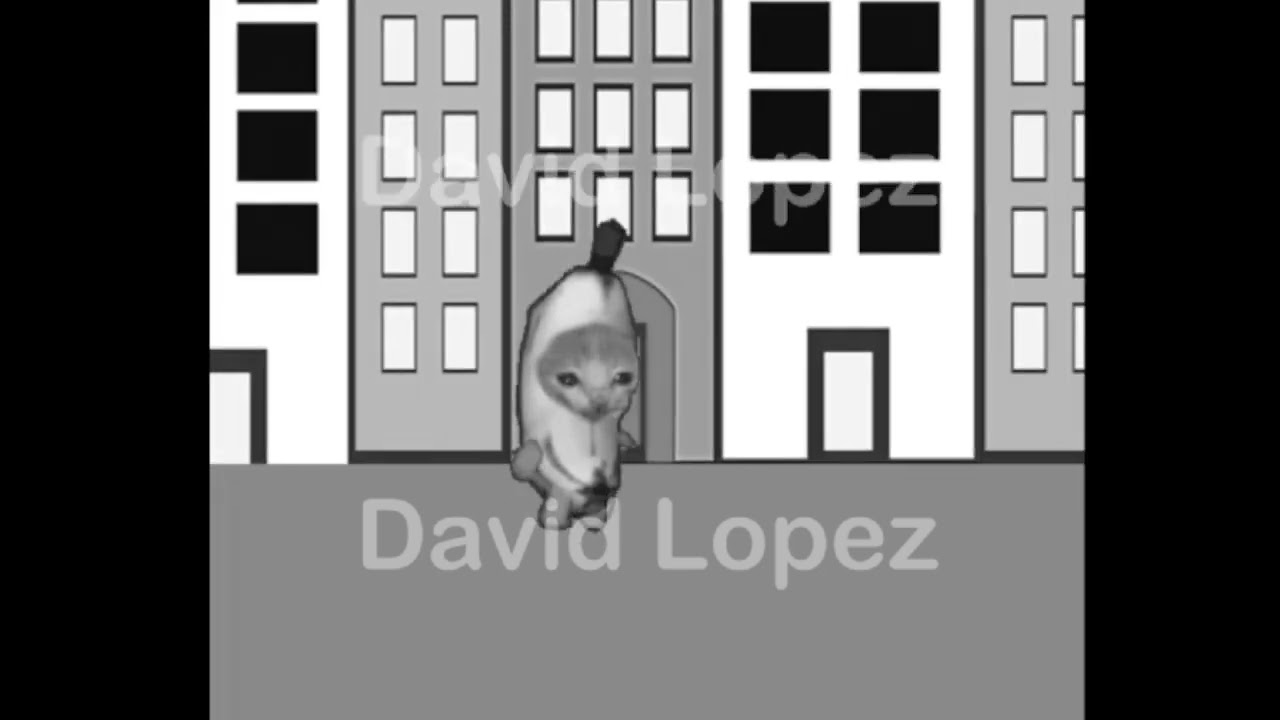 Suicide Banana Cat.AVI