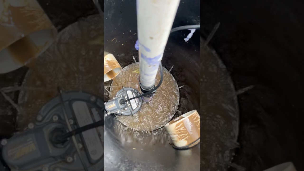 Sump Pump Timelapse