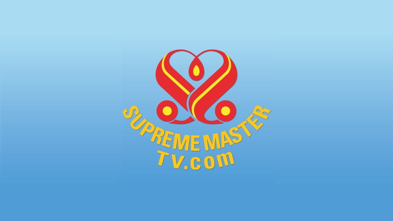 SupremeMasterTV Live (1080p 1 + 119,200 x Max)