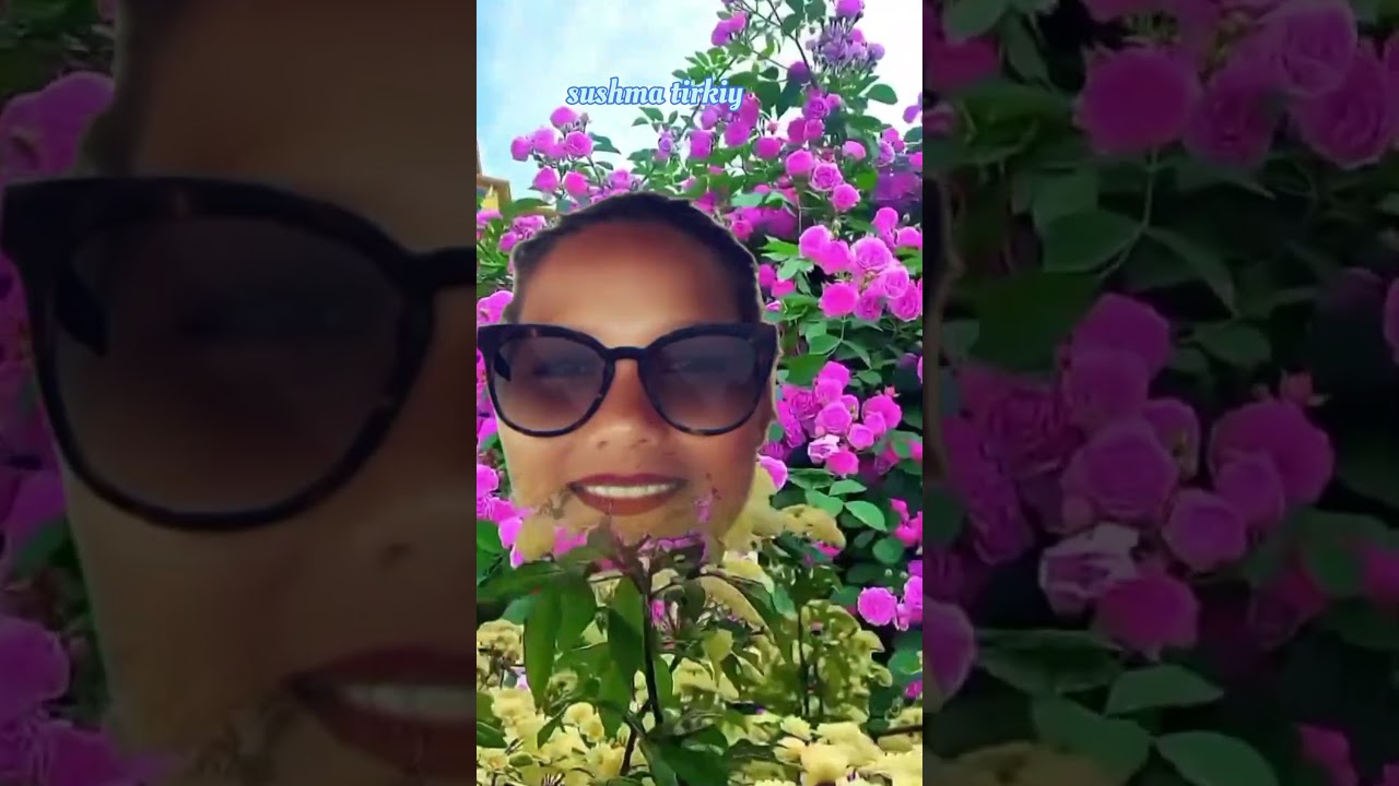 Sushma Tirkiy Blogs/vlog video/short video/#sushmatirkiyblogs #vlogvideo #minivlog