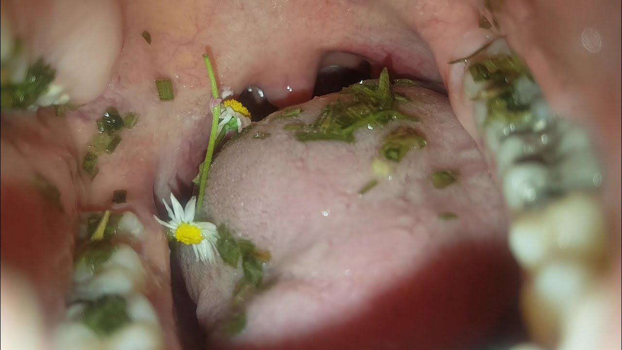 swallow flowers, people and lego. giantess throat