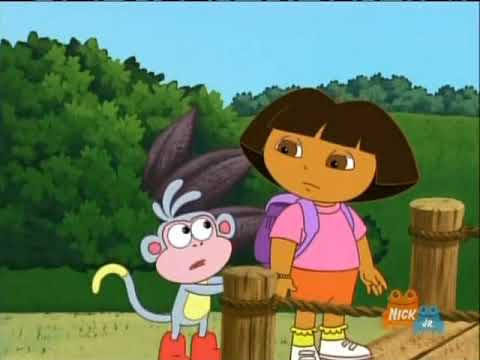 Swiper Swipes The Boards
