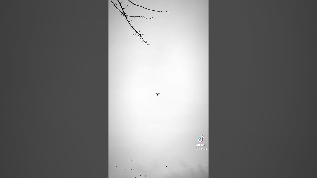 Söyle yağmur söyle 💋💋🌷