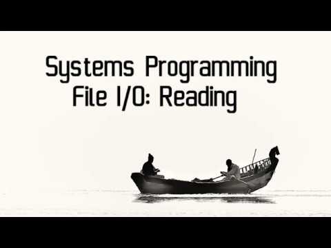 Systems Programming: File I/O Reading