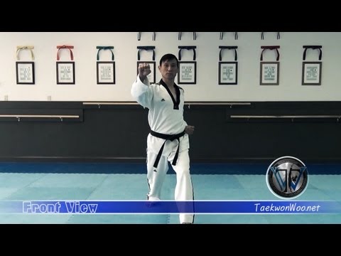 Taekwondo Outer Face Block | TKD Basics for Beginners | TaekwonWoo