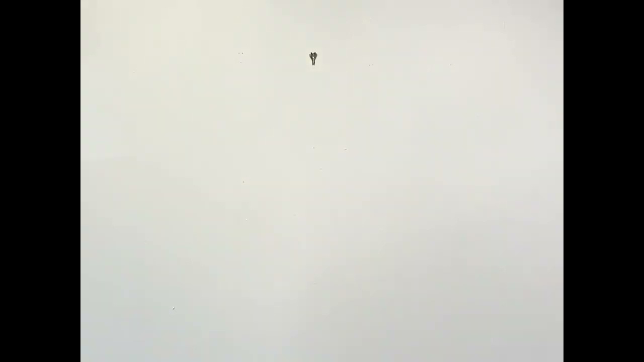 Takefumi Hori at WFA
