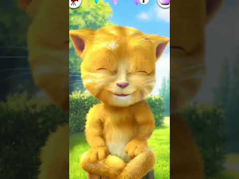 Talking Tom 🍇🥝🍅🍑🏵️🍐🍎🍐🏵️🍍🍊🍊🍠🍊🍍🍉🍉🍓🍉🏵️🏵️🍐 #shorts #tom #talkingtom #viralvideo#youtubeshorts