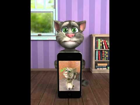 Talking Tom Plays Talking Tom 2