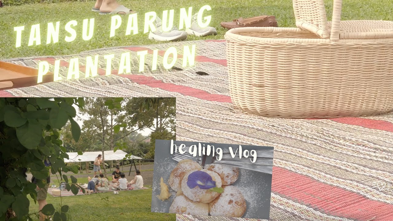 TANSU PARUNG PLANTATION Bogor 🌳🦋 | Healing Vlog, Jakarta Vlog, Piknik di Tansu Parung Bogor🍞🪁🧺