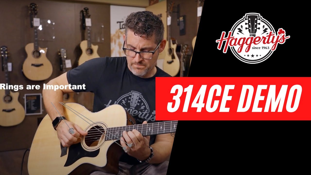 Taylor 314ce Demo